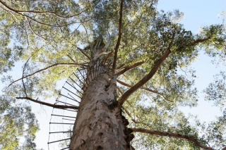 Australien 2007-007