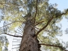 Australien 2007-007