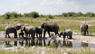 Namibia-095