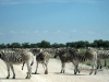 Namibia-083