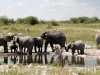 Namibia-095