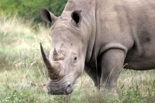 Afrika-032