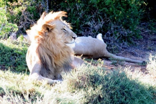 Afrika-054