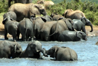 Afrika-057