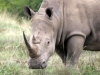 Afrika-032
