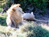 Afrika-054