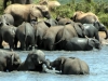 Afrika-057