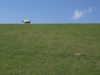 dscn3109