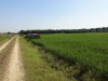 DSC02210