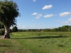 DSC02302