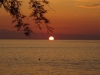 DSC02440