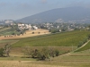 DSC02586