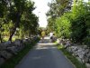 141-DSC05074