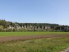 DSC03076