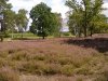 WP_20200822_001