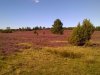 WP_20200901_001