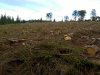 WP_20201005_001