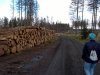 WP_20201010_005